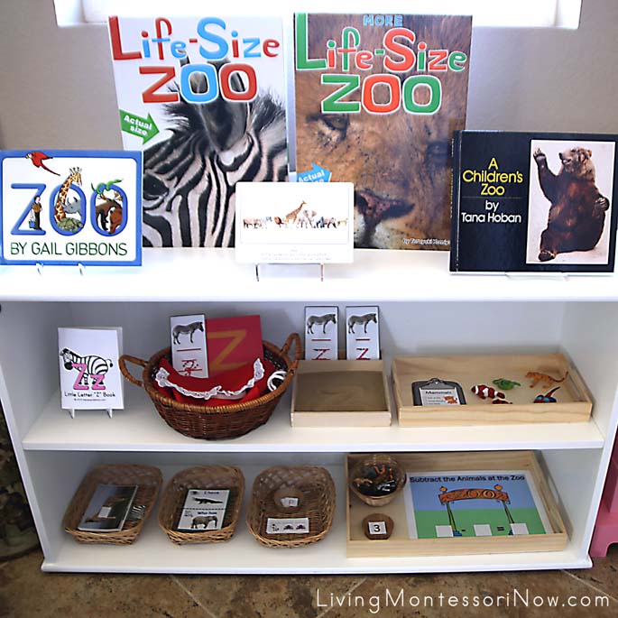 Montessori Shelves with a Zoo Theme