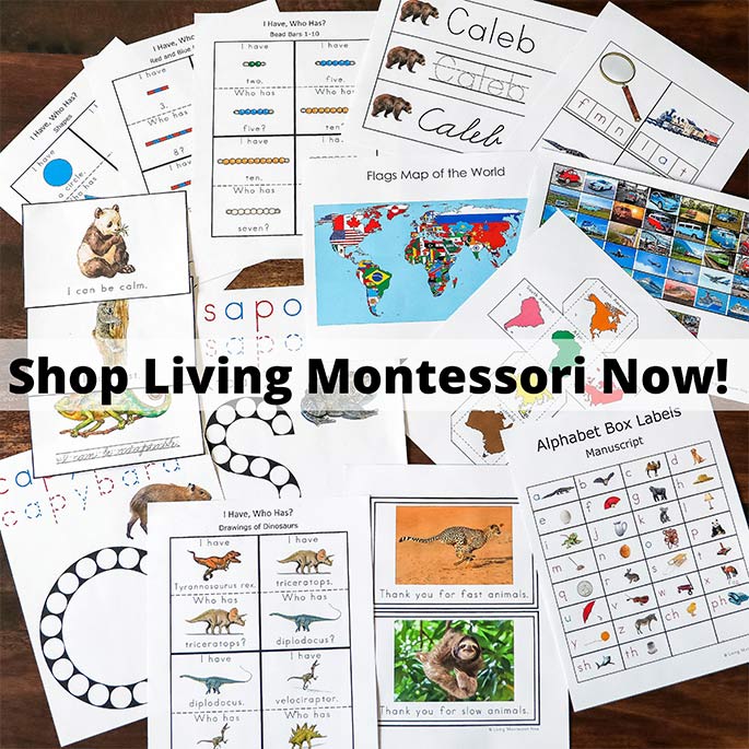 Living Montessori Now Shop
