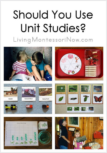 Should You Use Unit Studies?