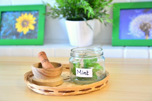 Smelling and Herb Crushing Tray from MELA Playgroup (Photo by How We Montessori)