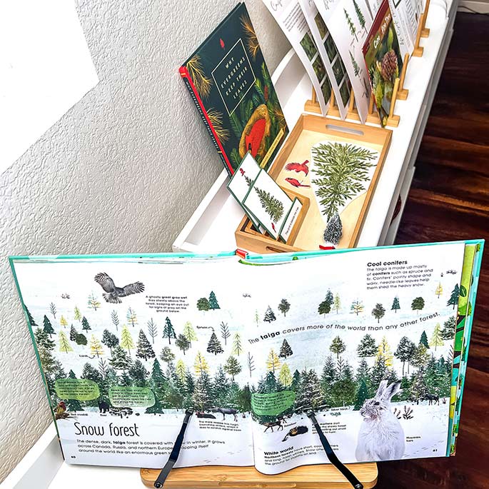 Snow Forest Pages from the Magic & Mystery of Trees with Evergreen Tree Work in the Background