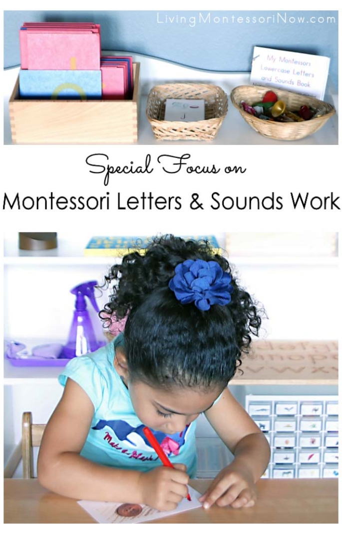 Special Focus on Montessori Letters and Sounds Work in Manuscript or Cursive