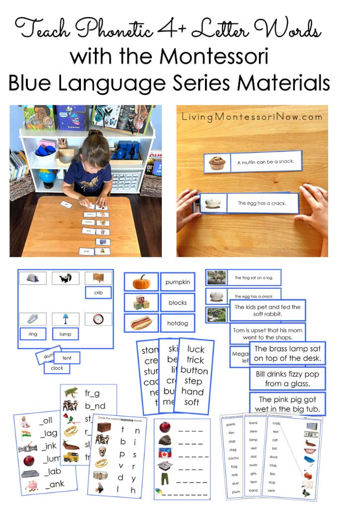Teach Phonetic 4+ Letter Words with the Montessori Blue Language Series Materials