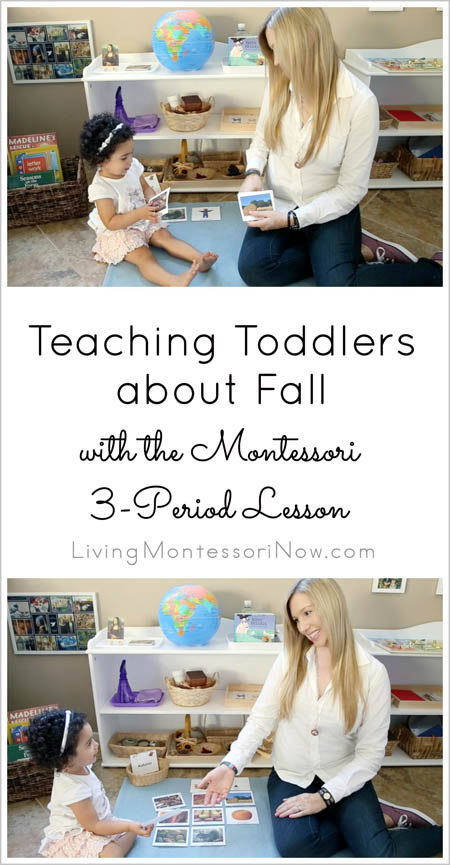 Teaching Toddlers about Fall with the Montessori 3-Period Lesson