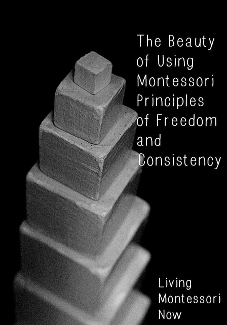 The Beauty of Using Montessori Principles of Freedom and Consistency