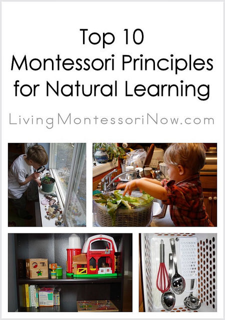 Top 10 Montessori Principles for Natural Learning
