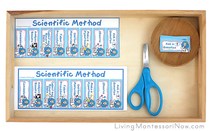 Tray with Scientific Method Bookmarks and Matching Activity