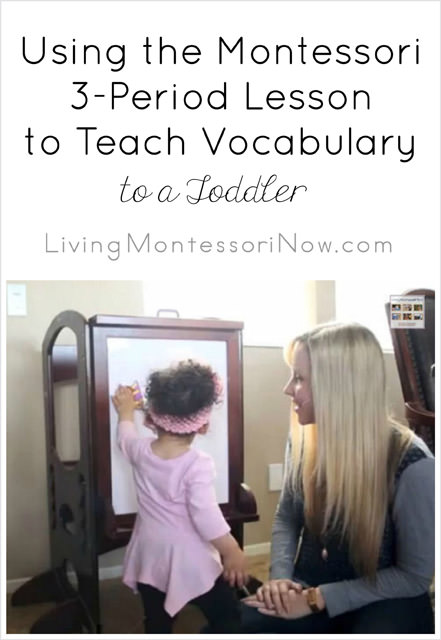 Using the Montessori 3-Period Lesson to Teach Vocabulary to a Toddler