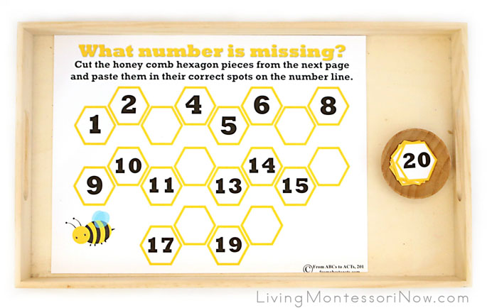 What Number Is Missing from the Honeycomb Activity