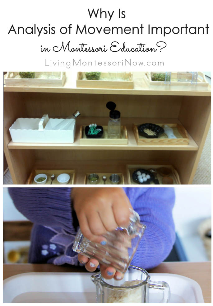 Why Is Analysis of Movement Important in Montessori Education?