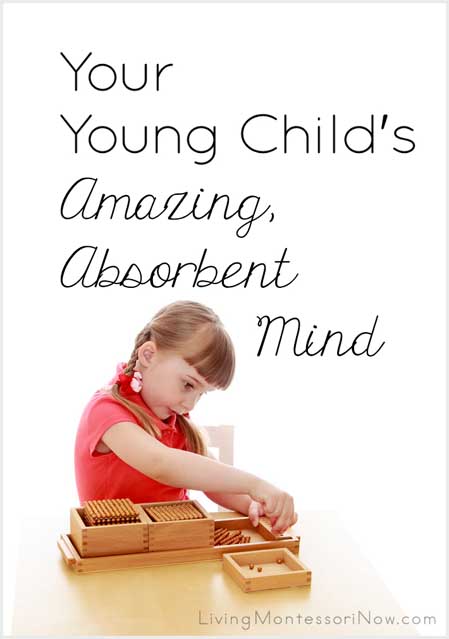 Your Young Child's Amazing, Absorbent Mind
