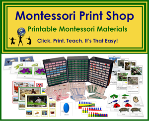 Montessori Print Shop Sales